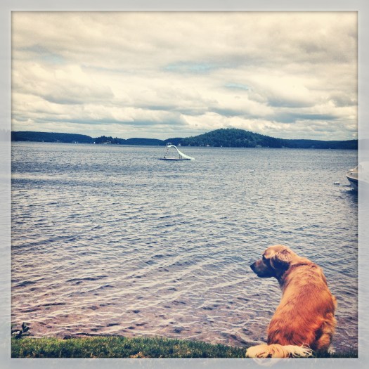 Photo 13-08-2013 01 42 55 PM