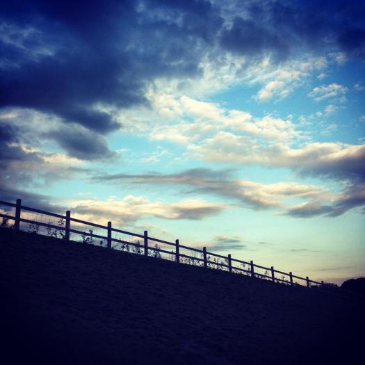 10173699_874501481584_1364150198199338355_n