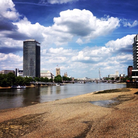 20140519-101038 pm-79838029.jpg