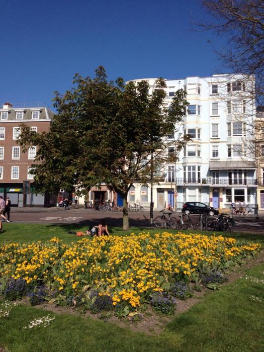 10307420_876503304914_2088352334021385791_n