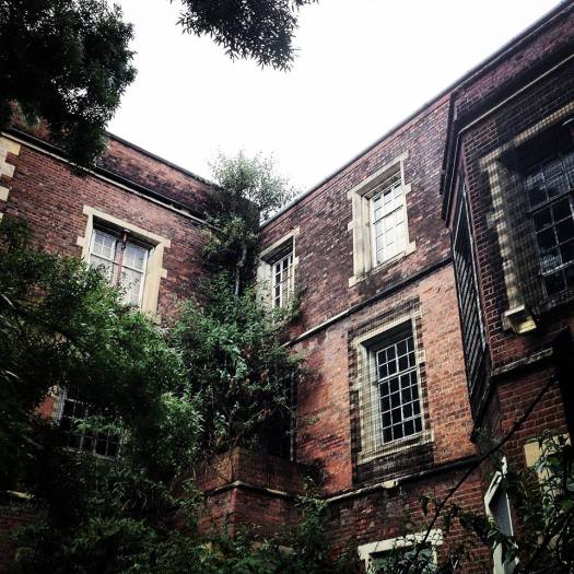 10401590_886656178474_5836374525445143369_n