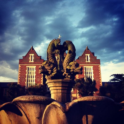 1912434_886656936954_7581999445942717560_n