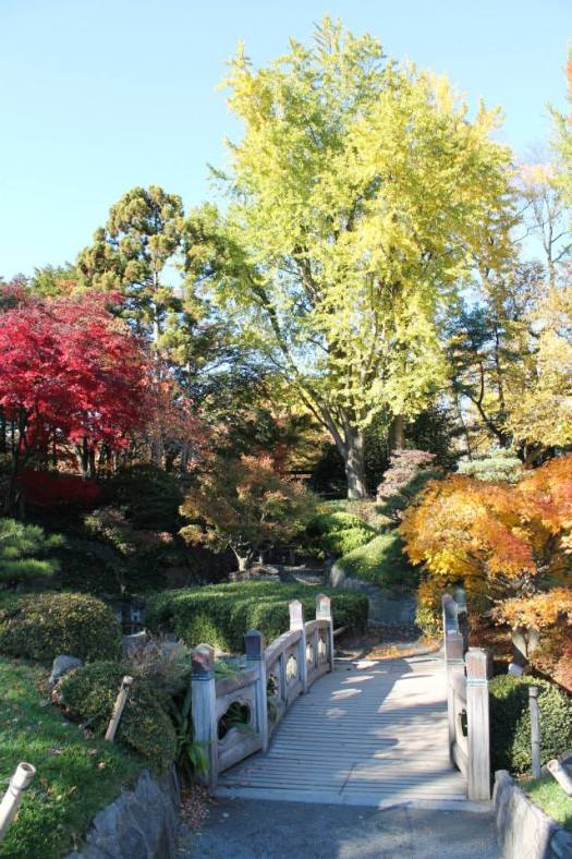 7604_935526162634_4409259616828671911_n