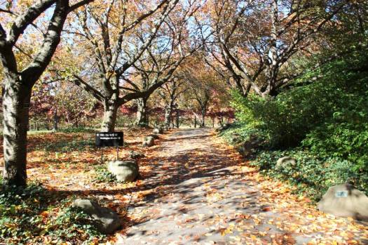 10610577_935525898164_7778762444424982631_n