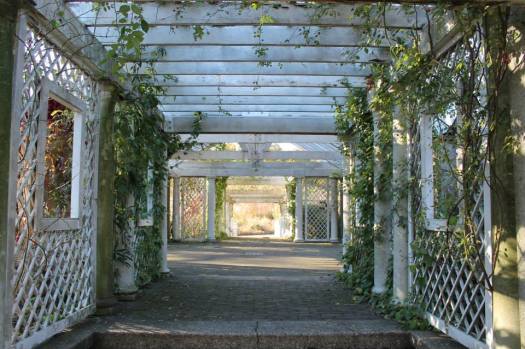 1911767_935528298354_4896014680395079217_n