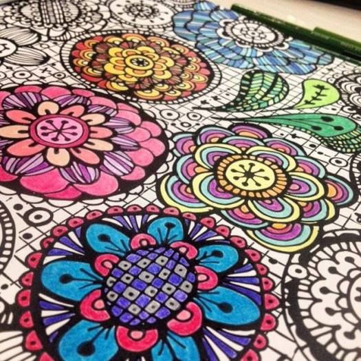 12140548_10100123775596234_7315325264196371927_n